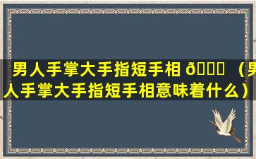 男人手掌大手指短手相 🐝 （男人手掌大手指短手相意味着什么）